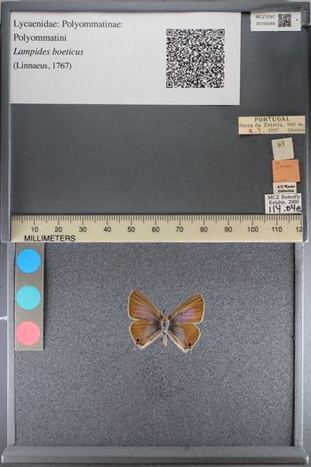 Media type: image;   Entomology 193349